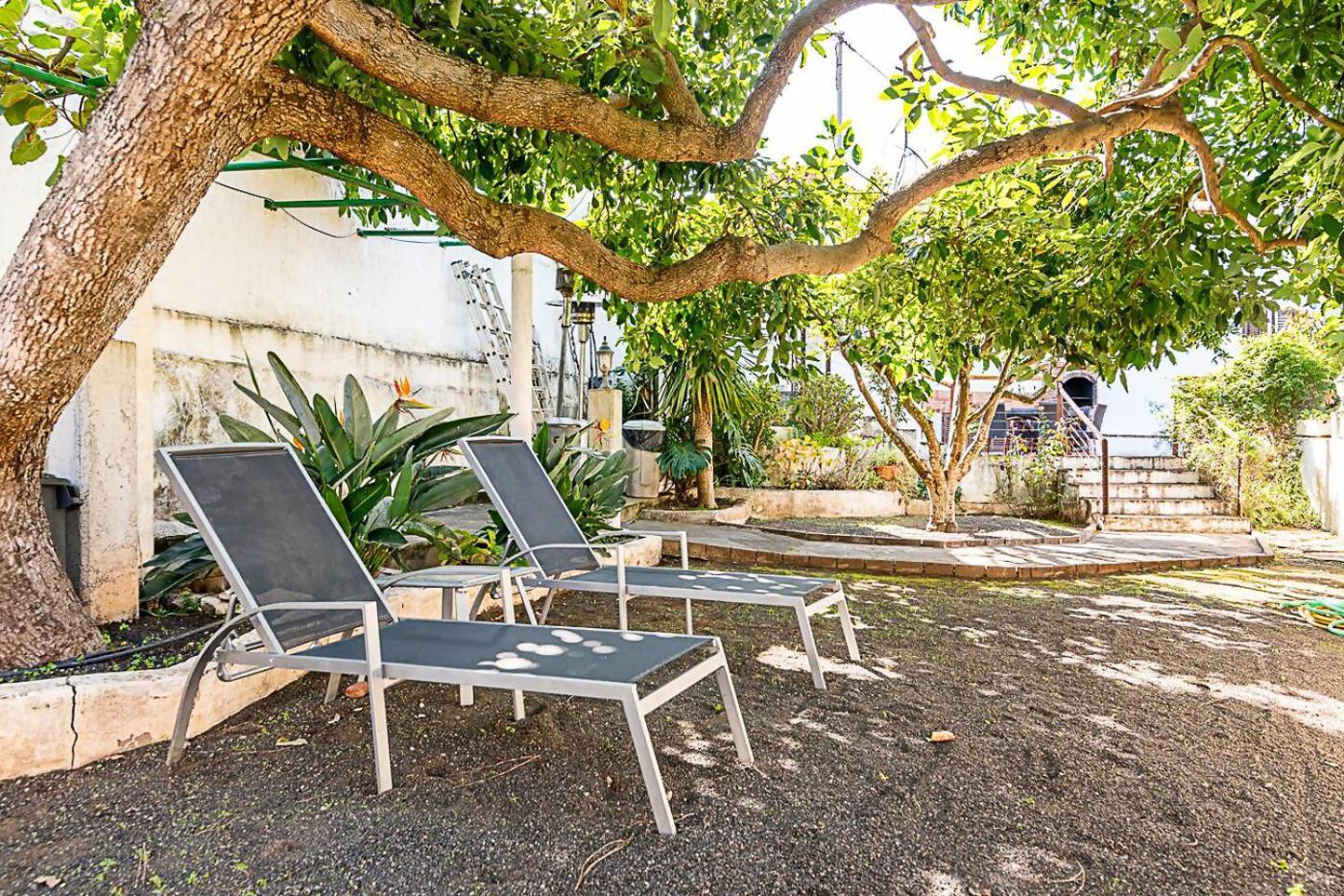 Casa Tipica Canaria En El Parque Rural De Doramas Pensionat Teror Exteriör bild